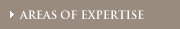 Areas of Expertise