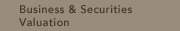 Business & Securities Valuation
