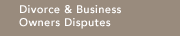 Divorce & Business Disputes